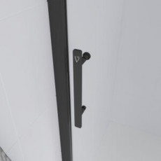 Душевая дверь Veconi Evo 100 B E1 1200x1950 черный стекло прозрачное E1-B-120-01-C9