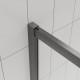 Душевой угол Veconi Evo 300 GR E3 1100x800x1950 брашированный графит стекло тонированное матовое E3-GR-11080-12-C9 Душевой угол Veconi Evo 300 GR E3 1100x800x1950 брашированный графит стекло тонированное матовое E3-GR-11080-12-C9
