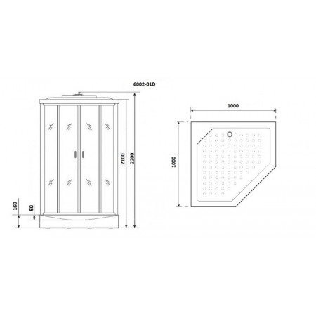 Душевая кабина Niagara Premium NG-6002-01D (100х100х220) низкий поддон(16 см),стекло прозрачное,4 места