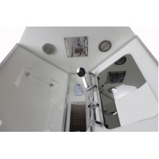 Душевая кабина Niagara Premium NG-6002-01G (100х100х210) низкий поддон(16 см),стекло прозрачное,4 места