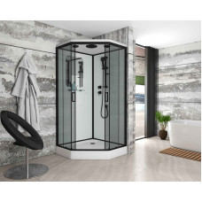 Душевая кабина Niagara Premium NG-6902-01D BLACK (100х100х220) низкий поддон(16 см),черный,стекло тонированное,4 места