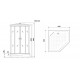Душевая кабина Niagara Premium NG-6902-01D BLACK (100х100х220) низкий поддон(16 см),черный,стекло тонированное,4 места