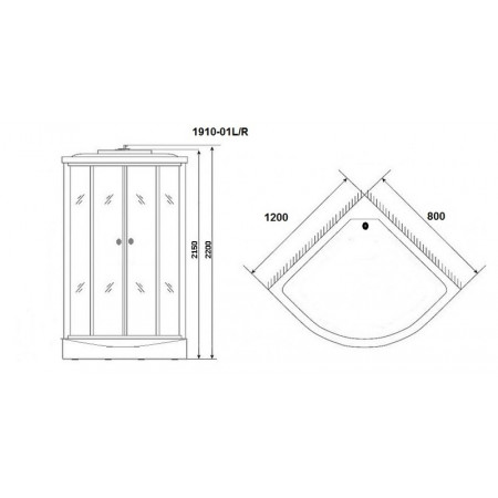 Душевая кабина Niagara Ultra NG-1910-01L (120х80х220) высокий поддон(48см),черный,стекло тонированное,4 места