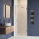 Душевая дверь RGW HO-011 800
