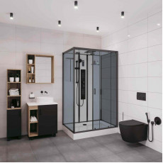 Душевая кабина Niagara Premium NG-6912-01GQR BLACK (120х80х210) низкий поддон(16 см),черный,стекло тонированное,5 мест