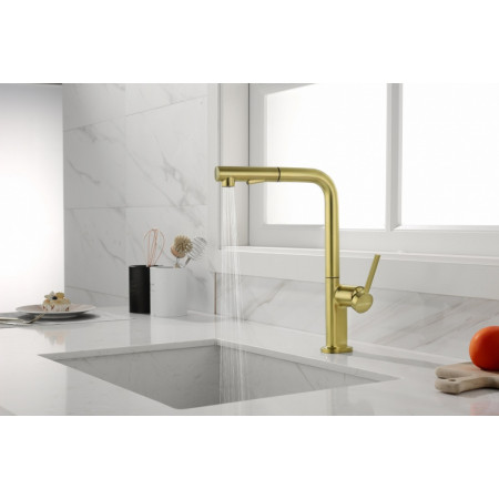 Смеситель для кухни Neo, брашированное золото, Ne214419-BG, Starke-Paulmark