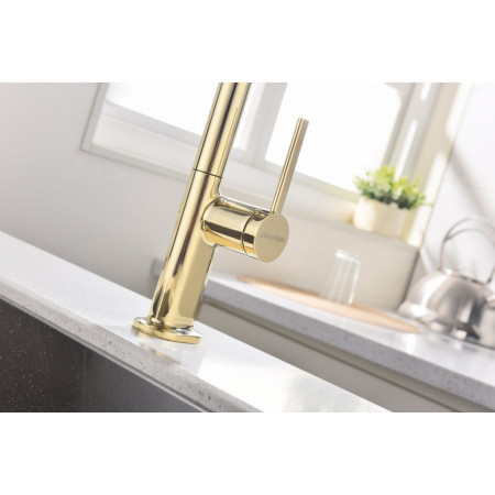 Смеситель для кухни Neo, золото, Ne214419-G, Starke-Paulmark