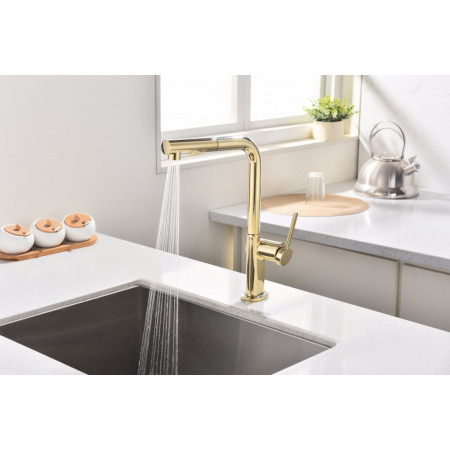 Смеситель для кухни Neo, золото, Ne214419-G, Starke-Paulmark