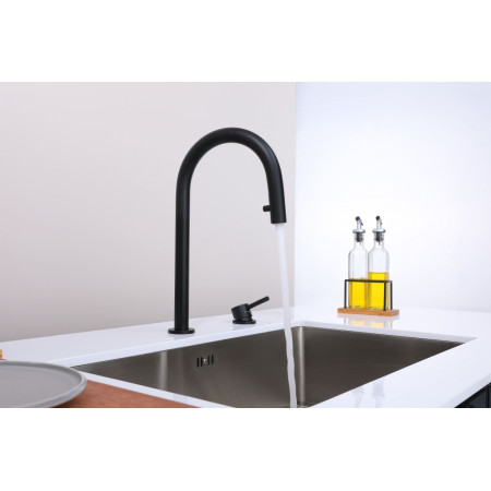 Смеситель для кухни ESTETICA с фильтром и выдвижным изливом, антрацит Paulmark Es218006-AN