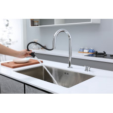 Смеситель для кухни ESTETICA с фильтром и выдвижным изливом, хром Paulmark Es218006-CR