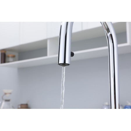 Смеситель для кухни ESTETICA с фильтром и выдвижным изливом, хром Paulmark Es218006-CR