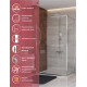Душевой уголок Cezares LUX-AH-FS-11-110/100-C-CR, 110х100х195, профиль хром, стекло прозрачное Душевой уголок Cezares LUX-AH-FS-11-110/100-C-CR, 110х100х195, профиль хром, стекло прозрачное