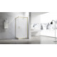 Душевой угол Veconi RV-27G 1100x800x1900 брашированное золото прозрачное RV27G-11080-01-C8 Душевой угол Veconi RV-27G 1100x800x1900 брашированное золото прозрачное RV27G-11080-01-C8