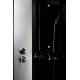 Душевая кабина Niagara Classic NG-3512-14RBK (120х80х200) низкий поддон(13см),стекло тонированное,3 места Душевая кабина Niagara Classic NG-3512-14RBK (120х80х200) низкий поддон(13см),стекло тонированное,3 места