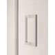 Душевая дверь RGW PA-104 1000 Душевая дверь RGW PA-104 1000