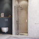 Душевая дверь RGW HO-014 900 Душевая дверь RGW HO-014 900