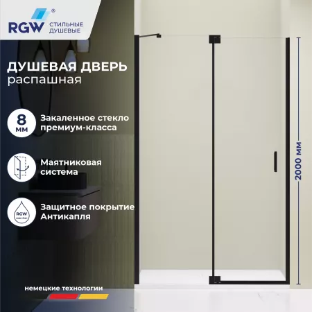 Душевая дверь RGW HO-014B (Прозрачное, 1200)