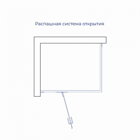 Душевой уголок с распашной дверью на петлях - RGW SV-040B (Матовое-Сатинат, 1600x800)