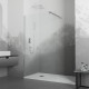 Душевая перегородка RGW WA-001 1000 Душевая перегородка RGW WA-001 1000