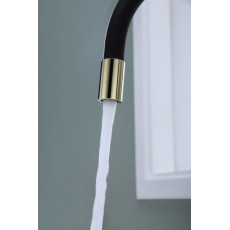 Смеситель для кухни Salix золото, Sa213419-G, Paulmark