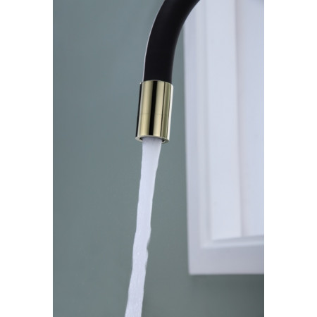 Смеситель для кухни Salix золото, Sa213419-G, Paulmark Смеситель для кухни Salix золото, Sa213419-G, Paulmark