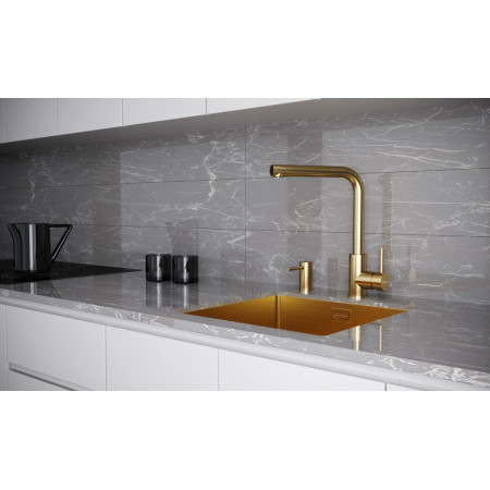 Смеситель для кухни с фильтром TWIN, брашированное золото Paulmark Tw213622-BG Смеситель для кухни с фильтром TWIN, брашированное золото Paulmark Tw213622-BG