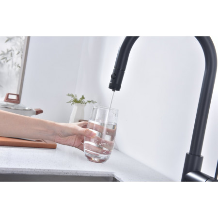 Смеситель для кухни Galant, антрацит, Ga213077-AN, Paulmark Смеситель для кухни Galant, антрацит, Ga213077-AN, Paulmark