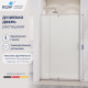 Душевая дверь RGW PA-008 (Матовое-Сатинат, 1000)