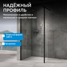 Душевая перегородка ABBER Immer Offen AG60100B8