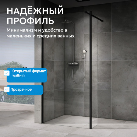Душевая перегородка ABBER Immer Offen AG66120B