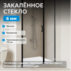 Душевая дверь ABBER Sonnenstrand AG04100BS