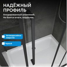 Душевая дверь ABBER Sonnenstrand AG04110BS