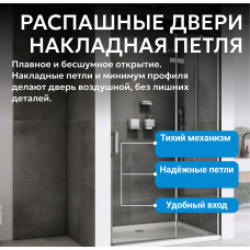 Душевая дверь ABBER Zart AG08090