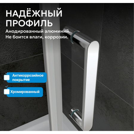 Душевая дверь ABBER Zart AG08120 Душевая дверь ABBER Zart AG08120