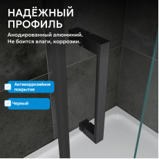 Душевая дверь ABBER Sonnenstrand AG04080B