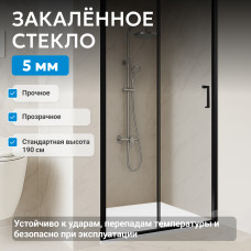 Душевая дверь ABBER Schwarzer Diamant AG30100B5