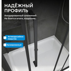 Душевая дверь ABBER Sonnenstrand AG04120MS