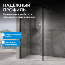Душевая перегородка ABBER Immer Offen AG69123BS