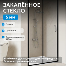 Душевая дверь ABBER Schwarzer Diamant AG30110B5