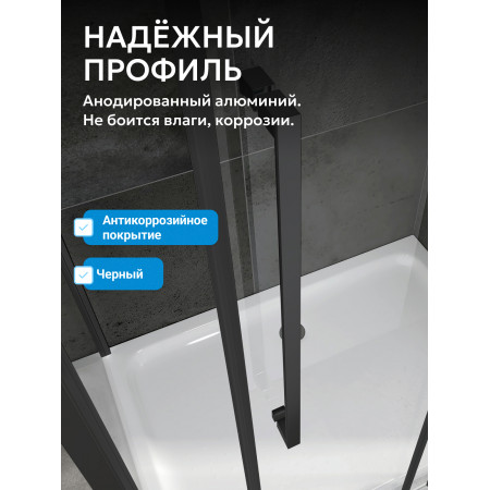 Душевая дверь ABBER Schwarzer Diamant AG33180BH