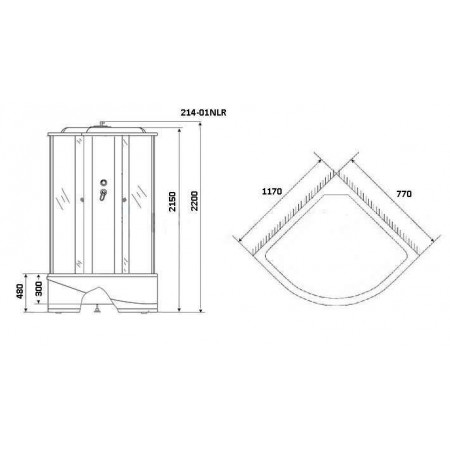 Душевая кабина Niagara Ultra NG-214-01RN (120х80х220) высокий поддон(48см),черный,стекло тонированное,4 места