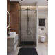 Душевая дверь Cezares LUX-B-FS-11-100-C-GM, 100х195, профиль оружейная сталь, стекло прозрачное Душевая дверь Cezares LUX-B-FS-11-100-C-GM, 100х195, профиль оружейная сталь, стекло прозрачное