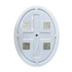 Зеркало BelBagno SPC-VST-600-800-LED-BTN Зеркало BelBagno SPC-VST-600-800-LED-BTN